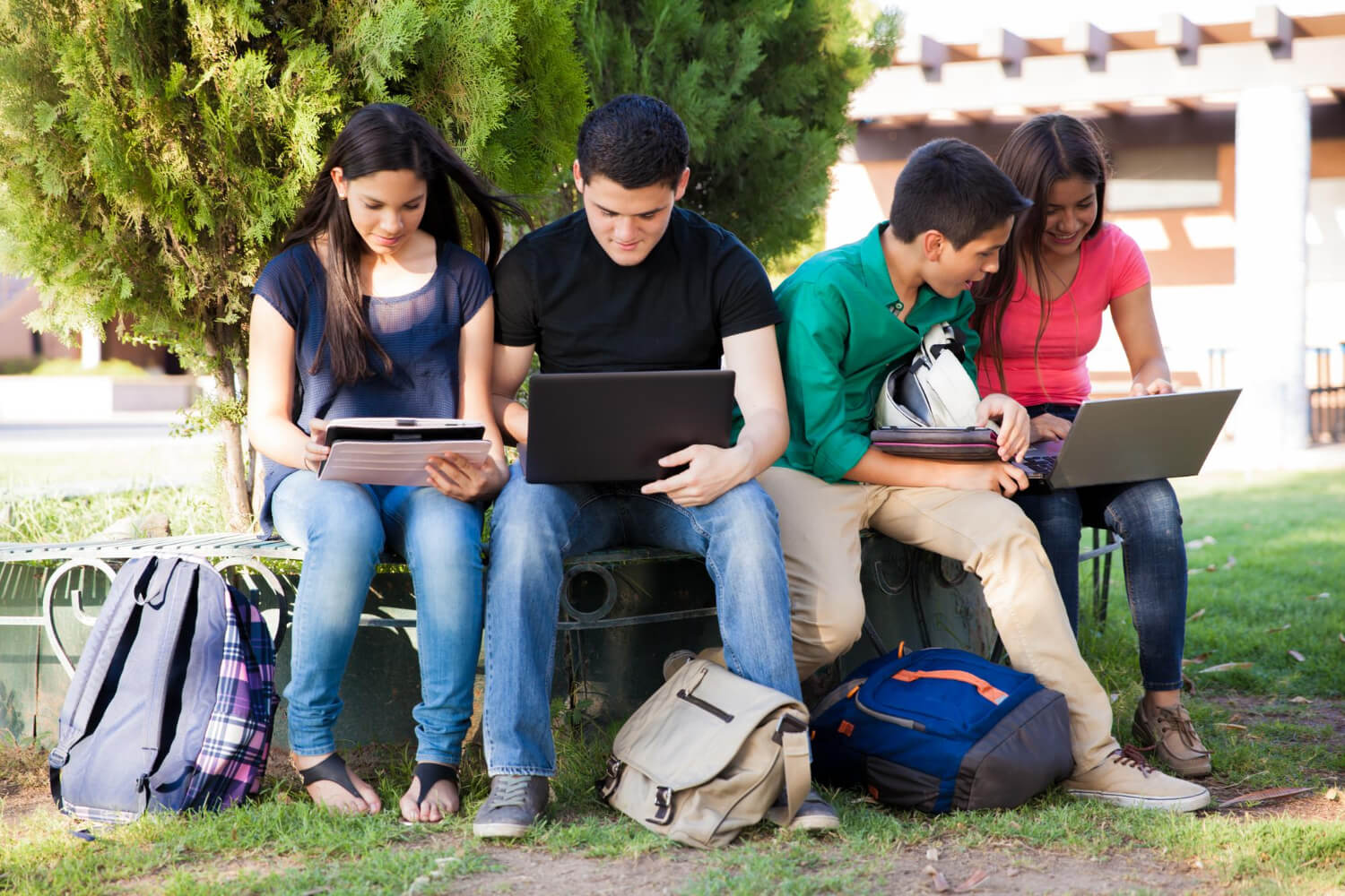 Students studying and planning their education journey